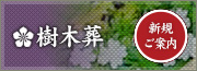 樹木葬　詳しくはこちら